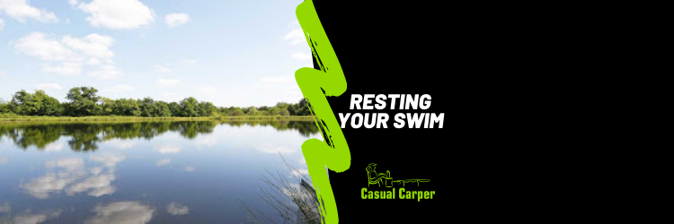 Swim resting carp fishing