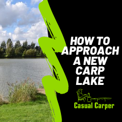 new carp lake tips