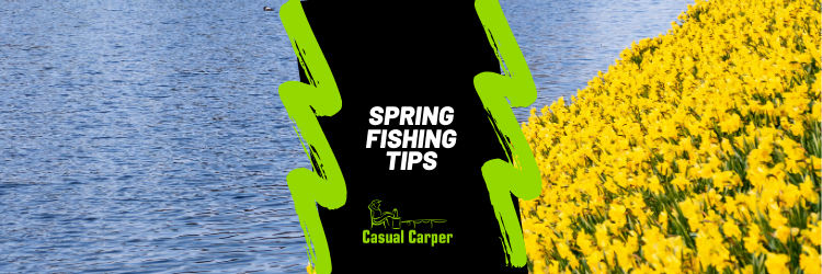Spring carp fishing tips
