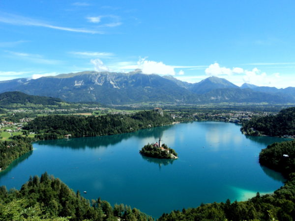 The epic carp fishing holiday - Lake Bled